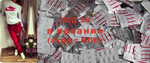 эйфоретик Баксан
